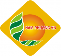 King88clb com Phiên Bản Mới 20 LĐPT Cty Nam Phương VN-KCN Tân Phú Trung