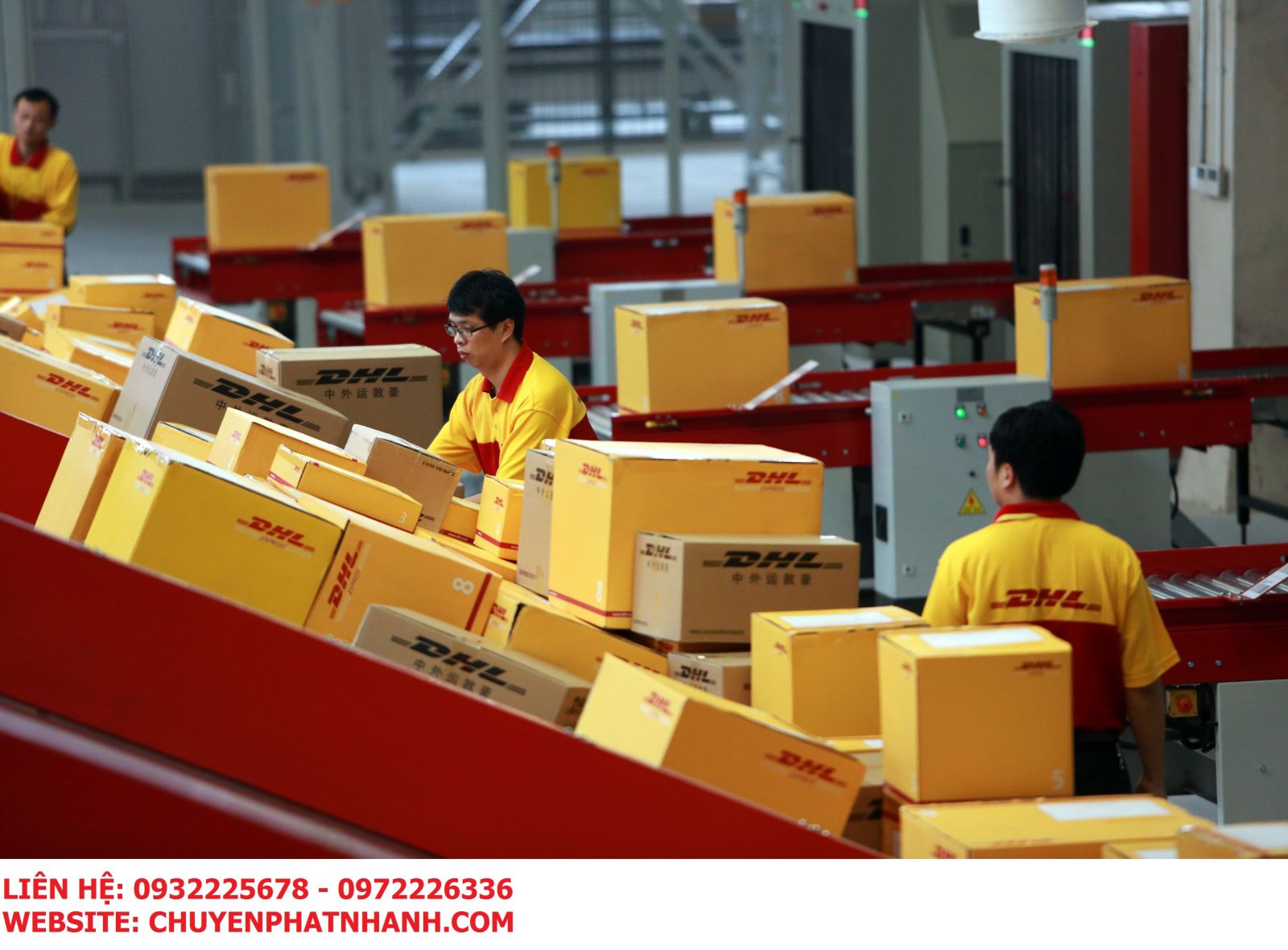 Nhà Cái Cá Cược Uy Tín 【King88 Vina】 cần tuyển 10 NAM LĐPT làm tại 1 số kho DHL Tân Bình và Củ Chi