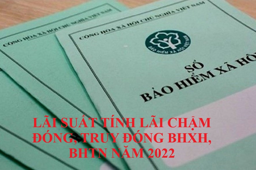 Lãi suất tính lãi chậm đóng, truy đóng BHXH, BHTN năm 2022 tại TP.HCM